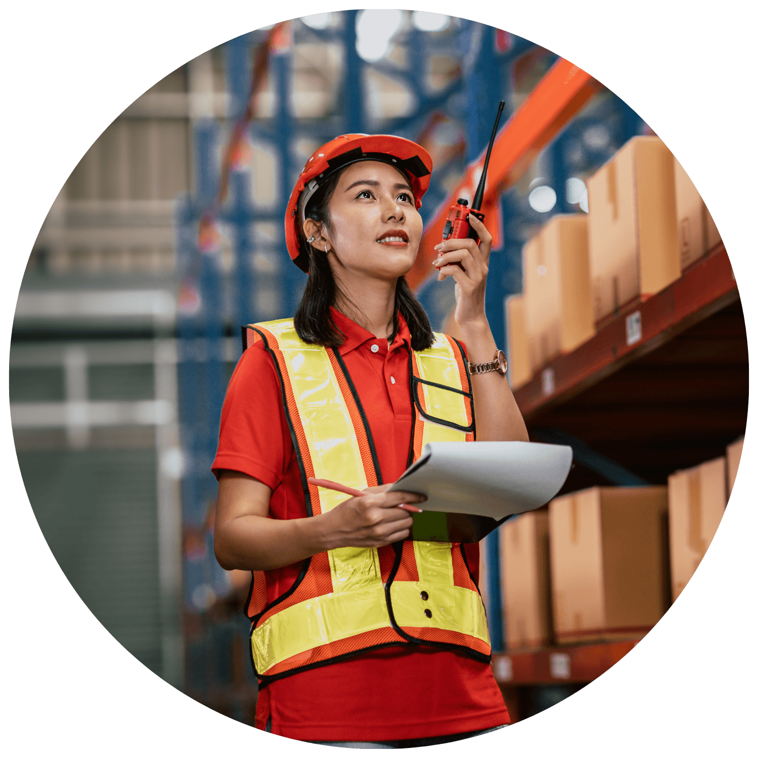 Shipping & Logistics - Efficiency Leaders